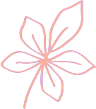 shape-13-2
